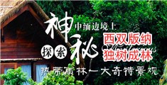 年轻大鸡吧操在线